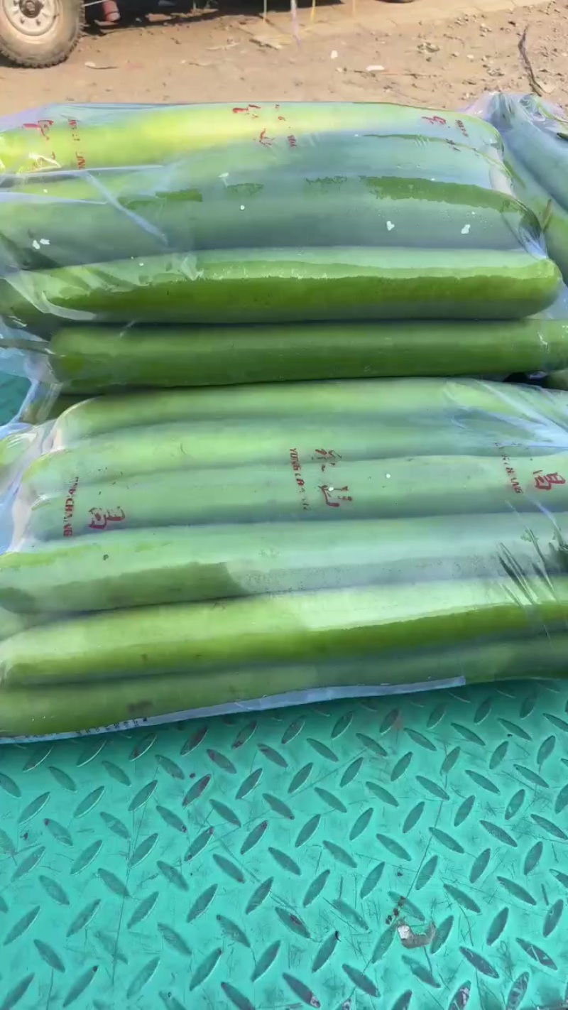 精品瓠子，条形好，颜色绿，支持视频看货，代发全国市场