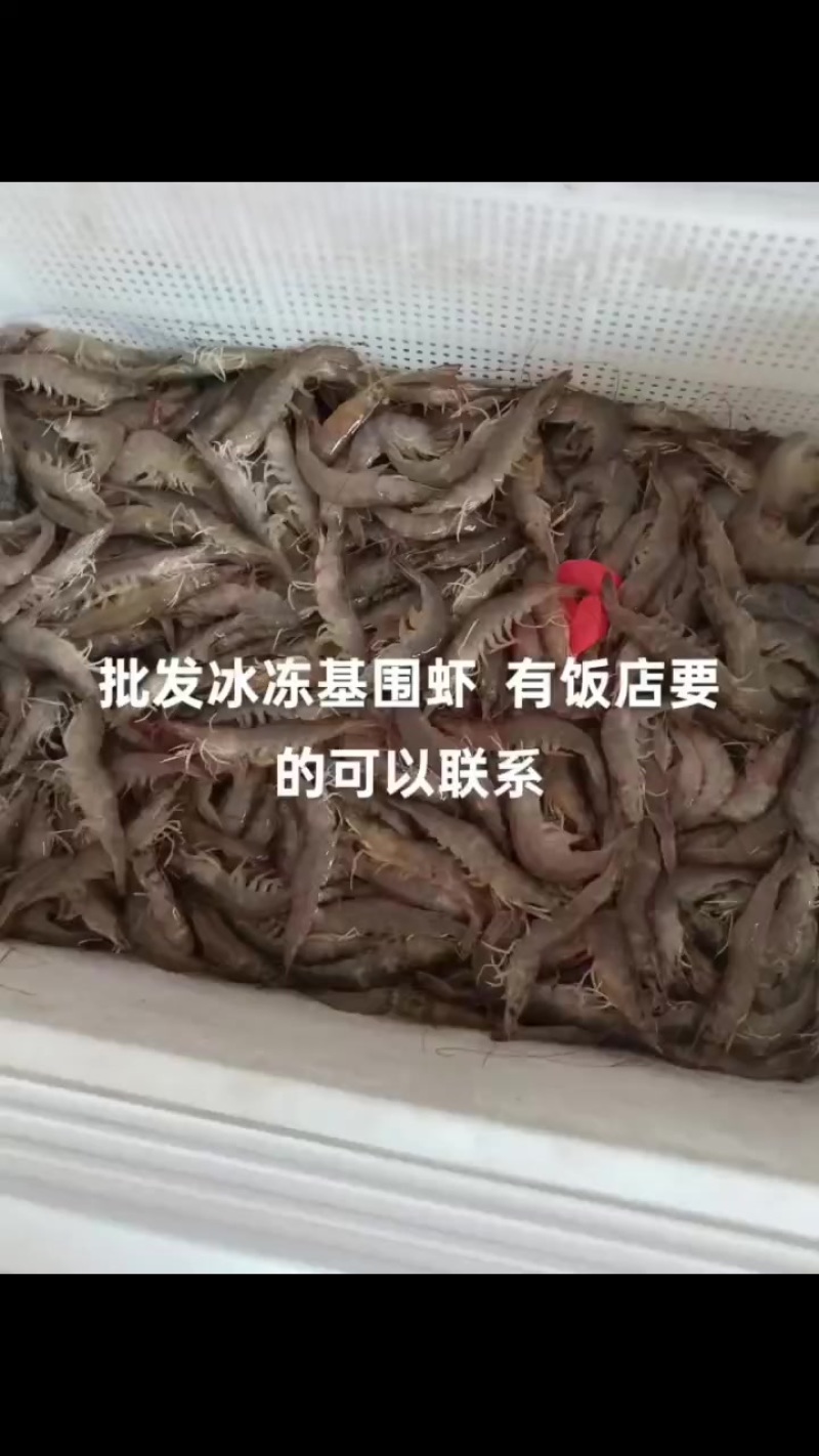 基围虾