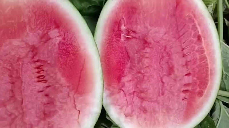 翠玲西瓜