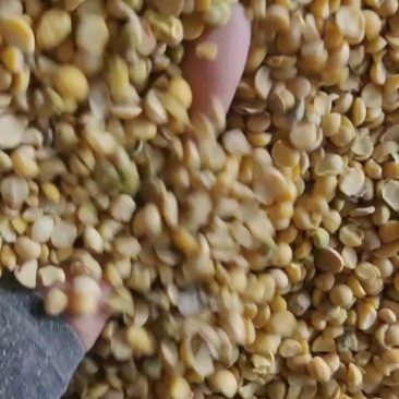 出售各种豆瓣，***********
