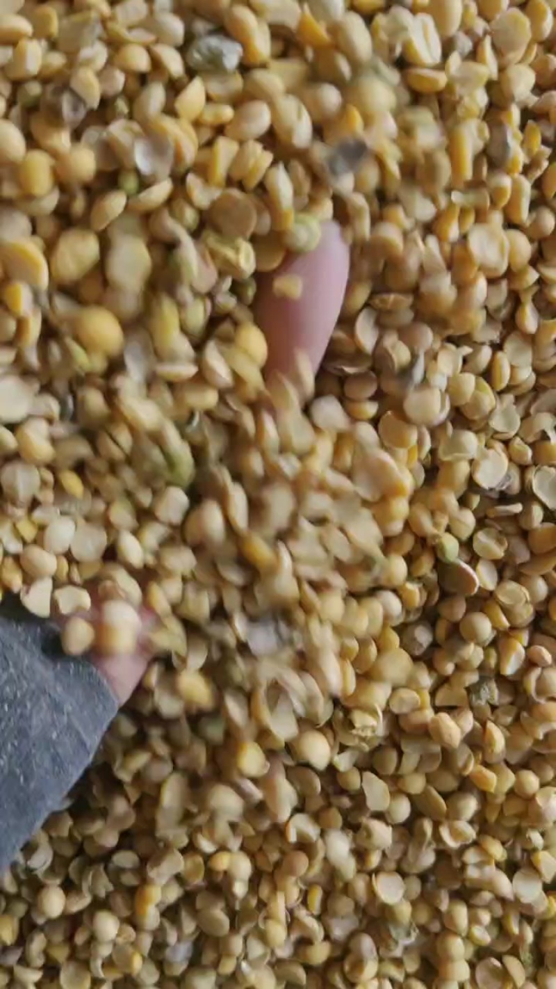 出售各种豆瓣，***********
