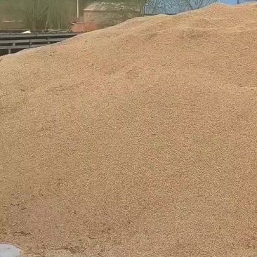 豆瓣