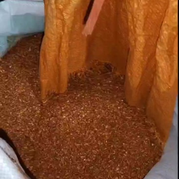辣椒面