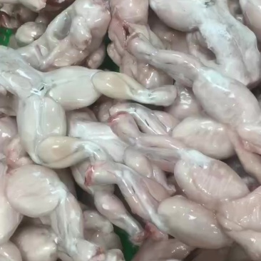 牛蛙