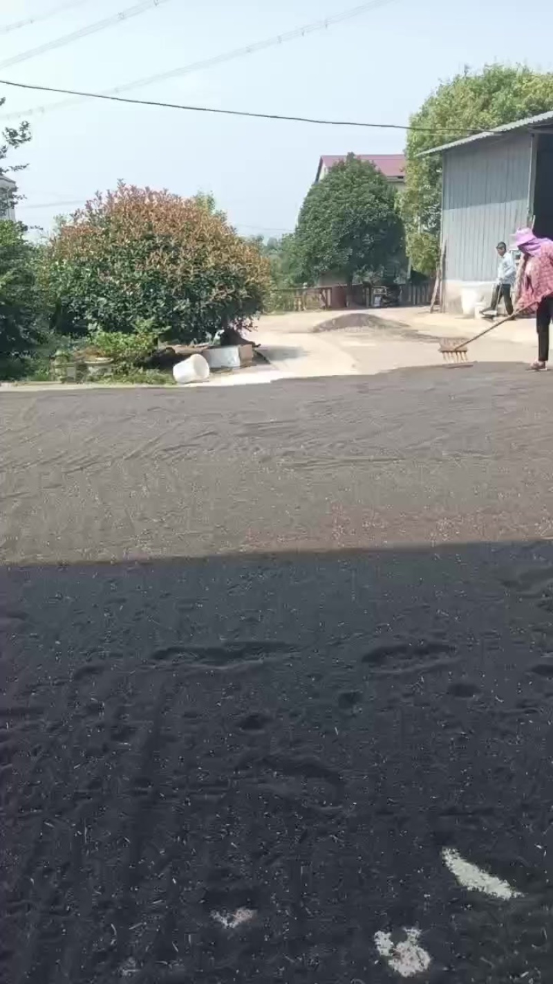 油菜籽含油41