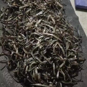 广地龙精品干货