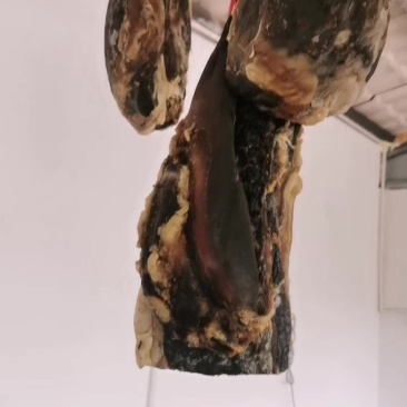 牛干巴
