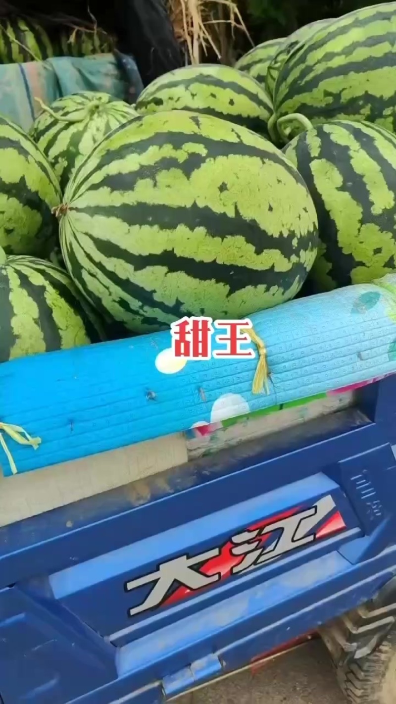 西瓜