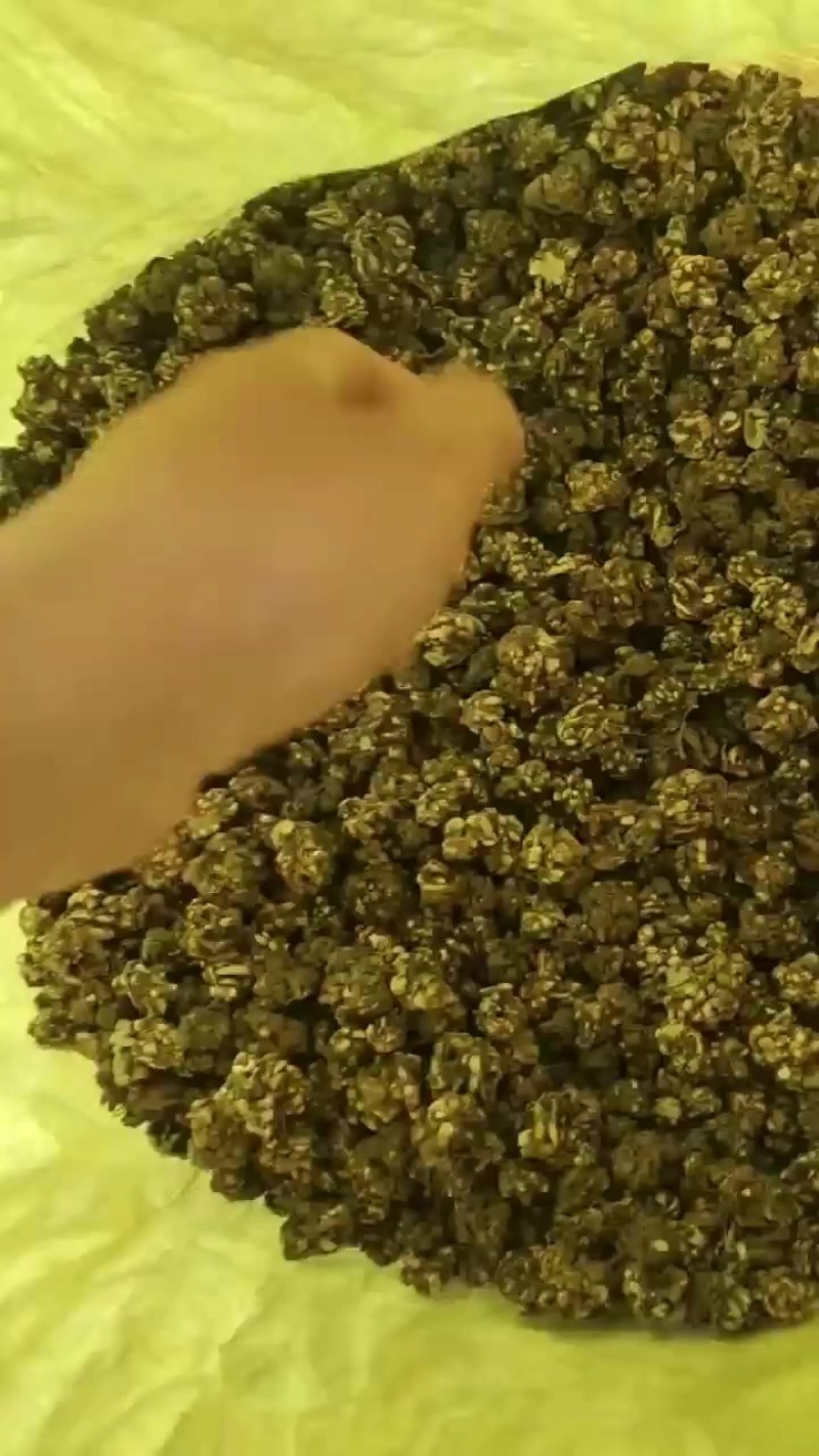 猫爪草干货
