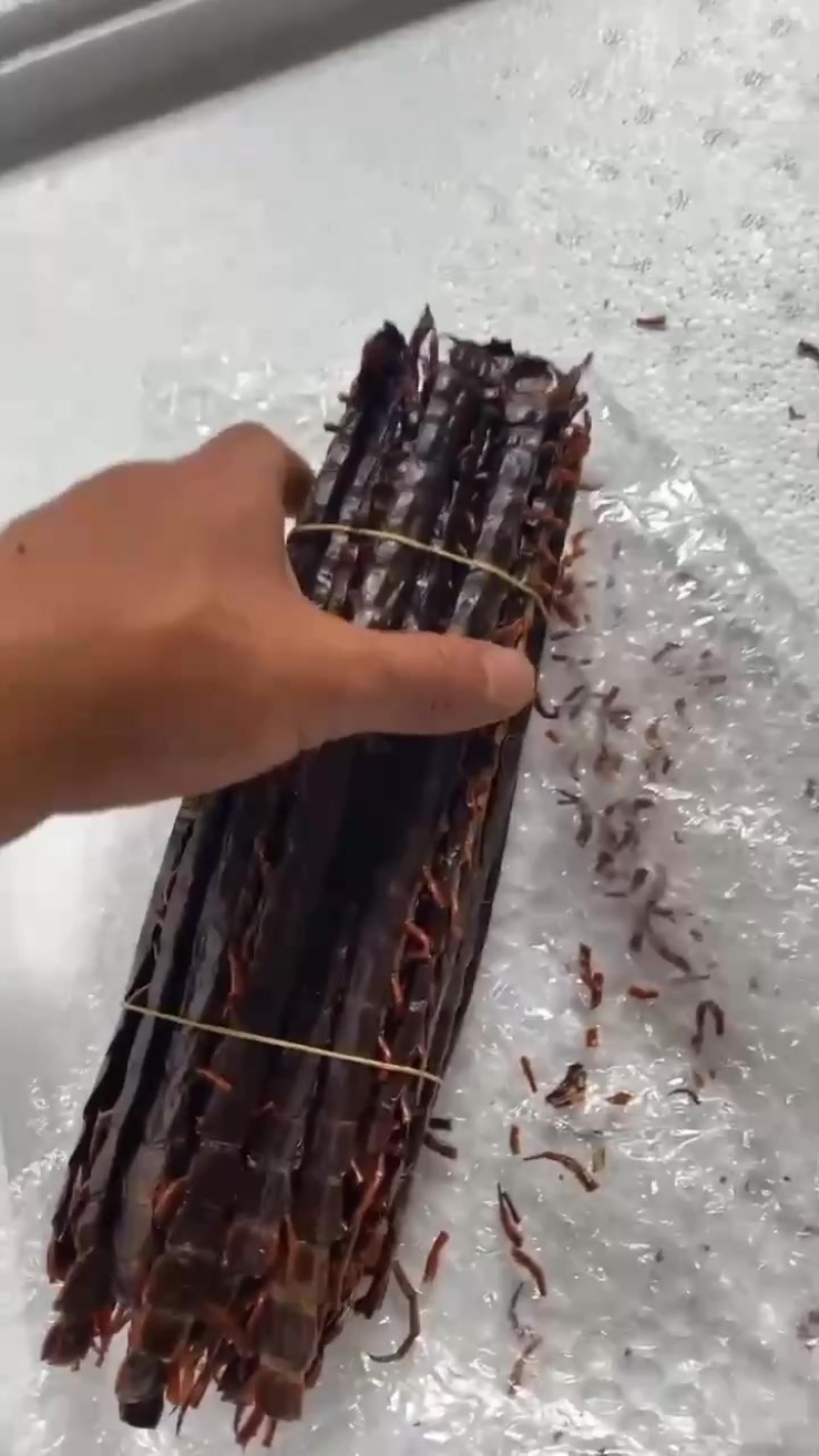 蜈蚣干货