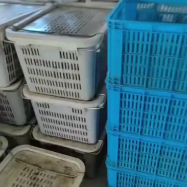 我要卖小龙。