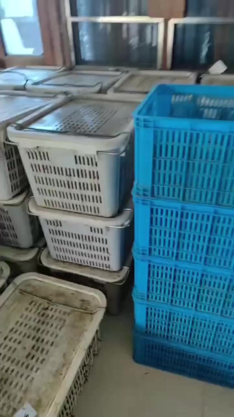 我要卖小龙。