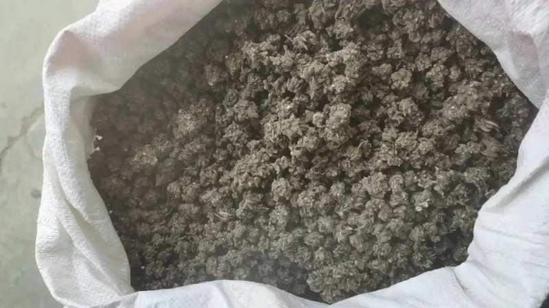 中药猫爪草之乡淮滨县