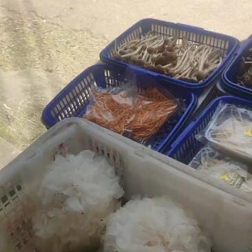 食用菌类