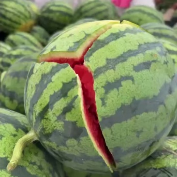 我要卖无籽麒麟