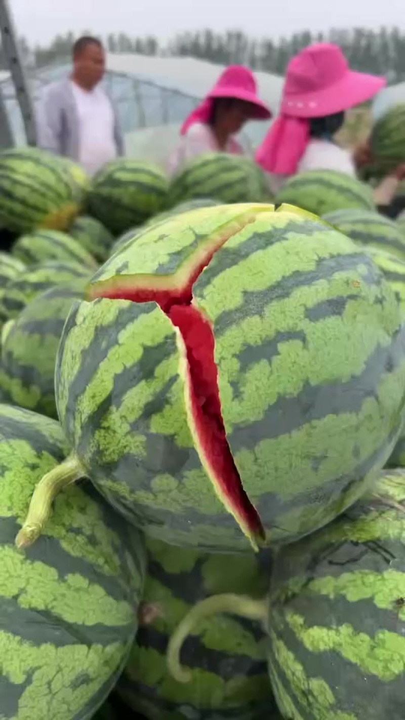 我要卖无籽麒麟