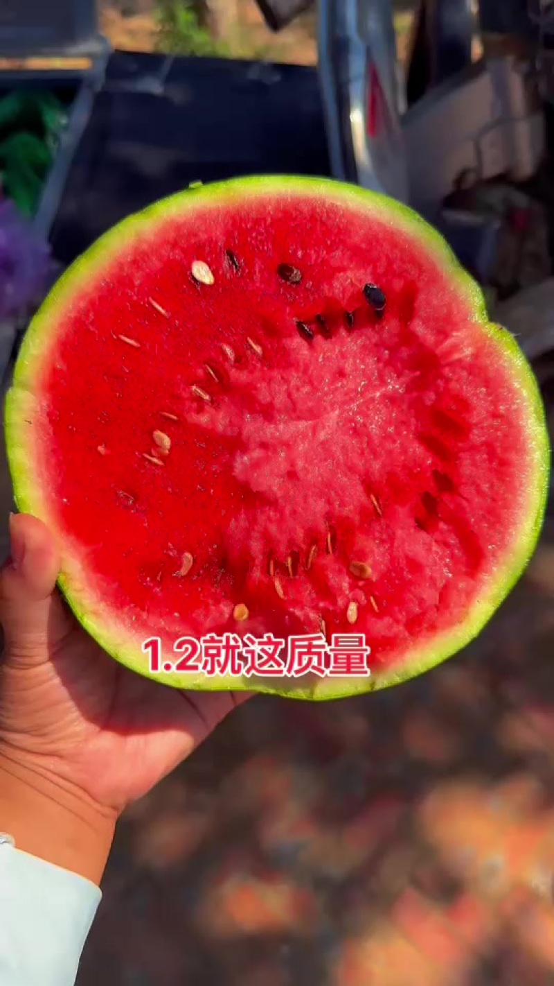 美都有籽麒麟