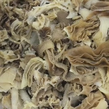 毛肚边角，质量很好，干干净净，几块钱一斤，50斤装毛血