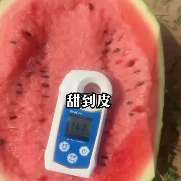 西瓜