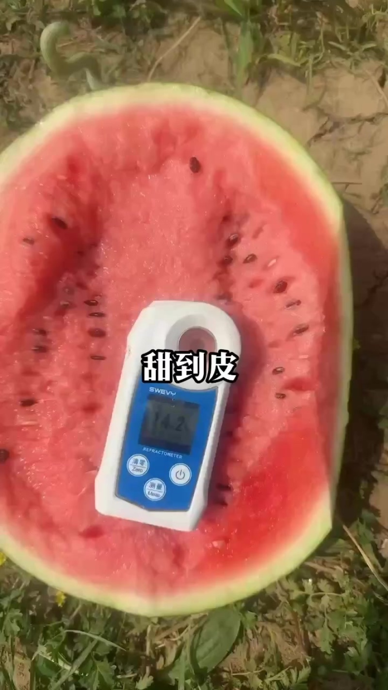 西瓜