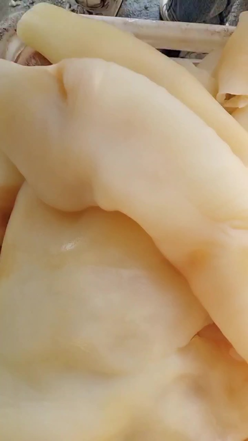 熟牛皮