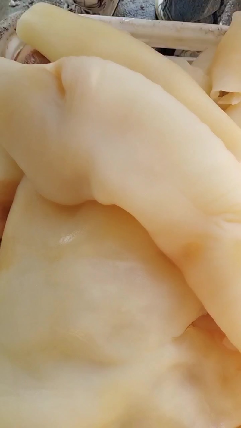 熟牛皮