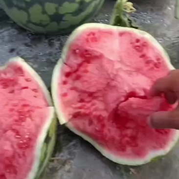 西瓜美都