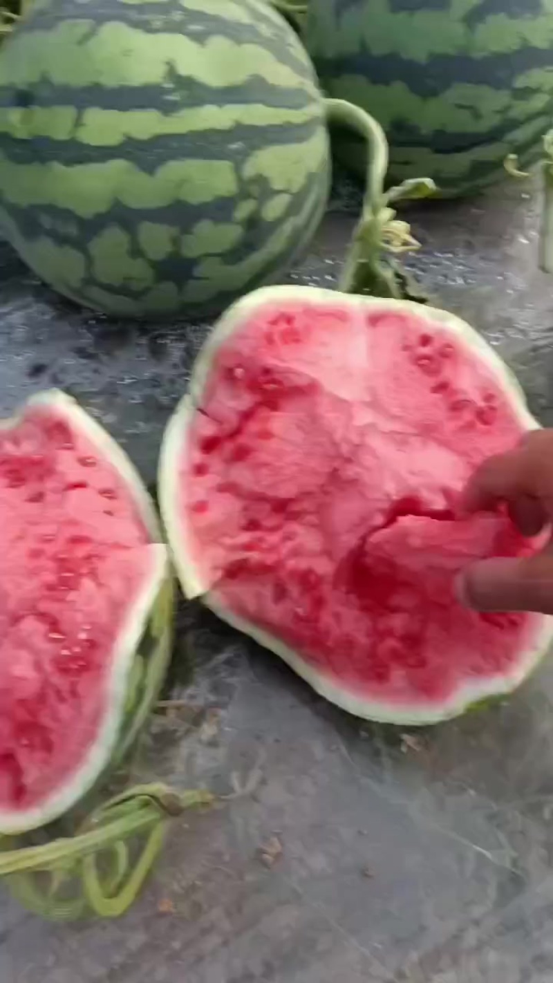 西瓜美都