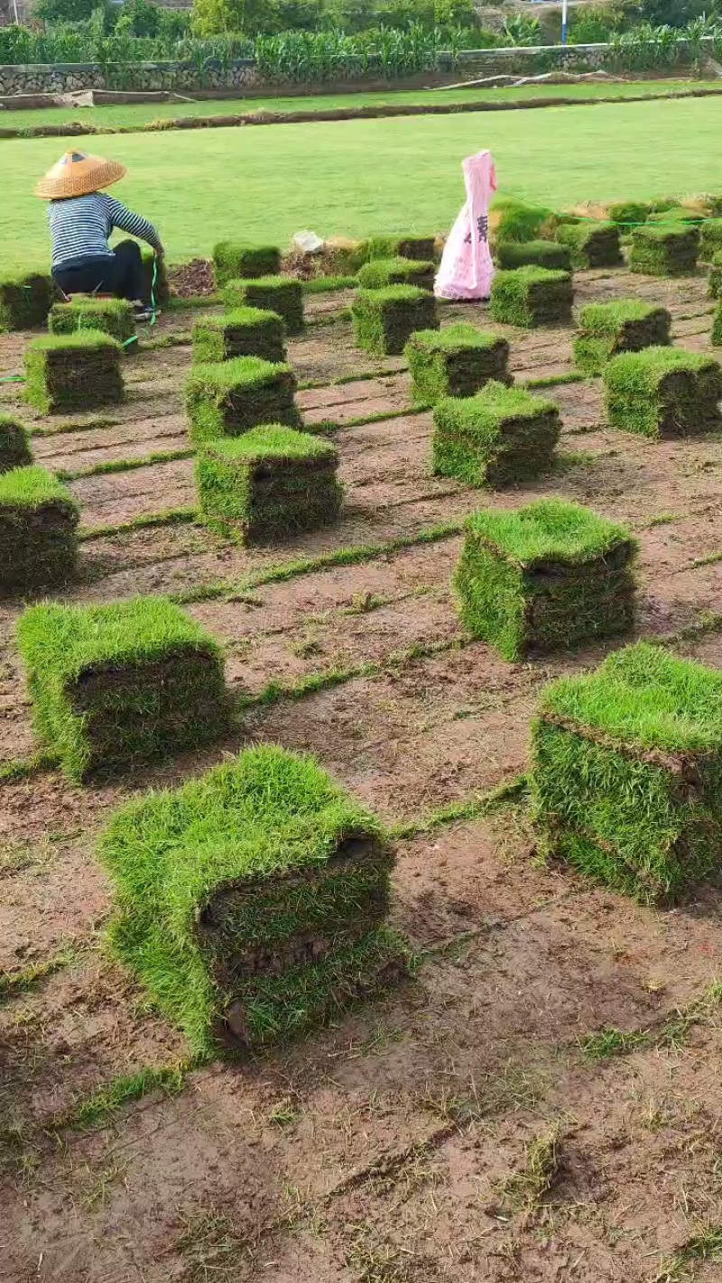 马尼拉