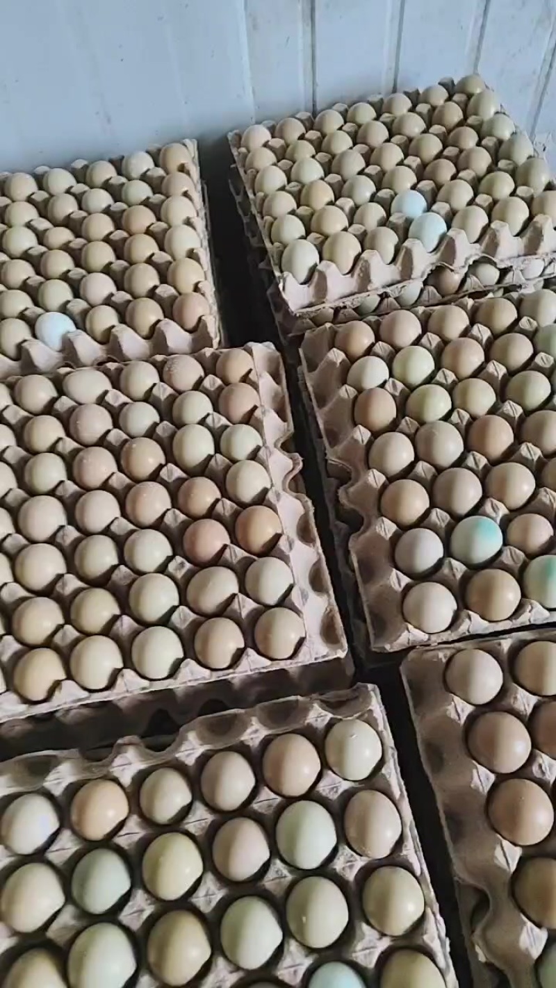 处理一批大公鸡，顺便卖点鸡蛋，自己的养殖场日产一万枚鸡蛋