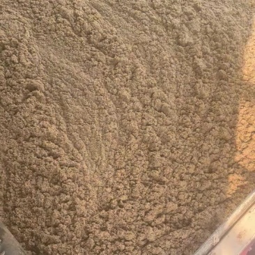 蓝带啤酒糟，厂家直销一手货源
