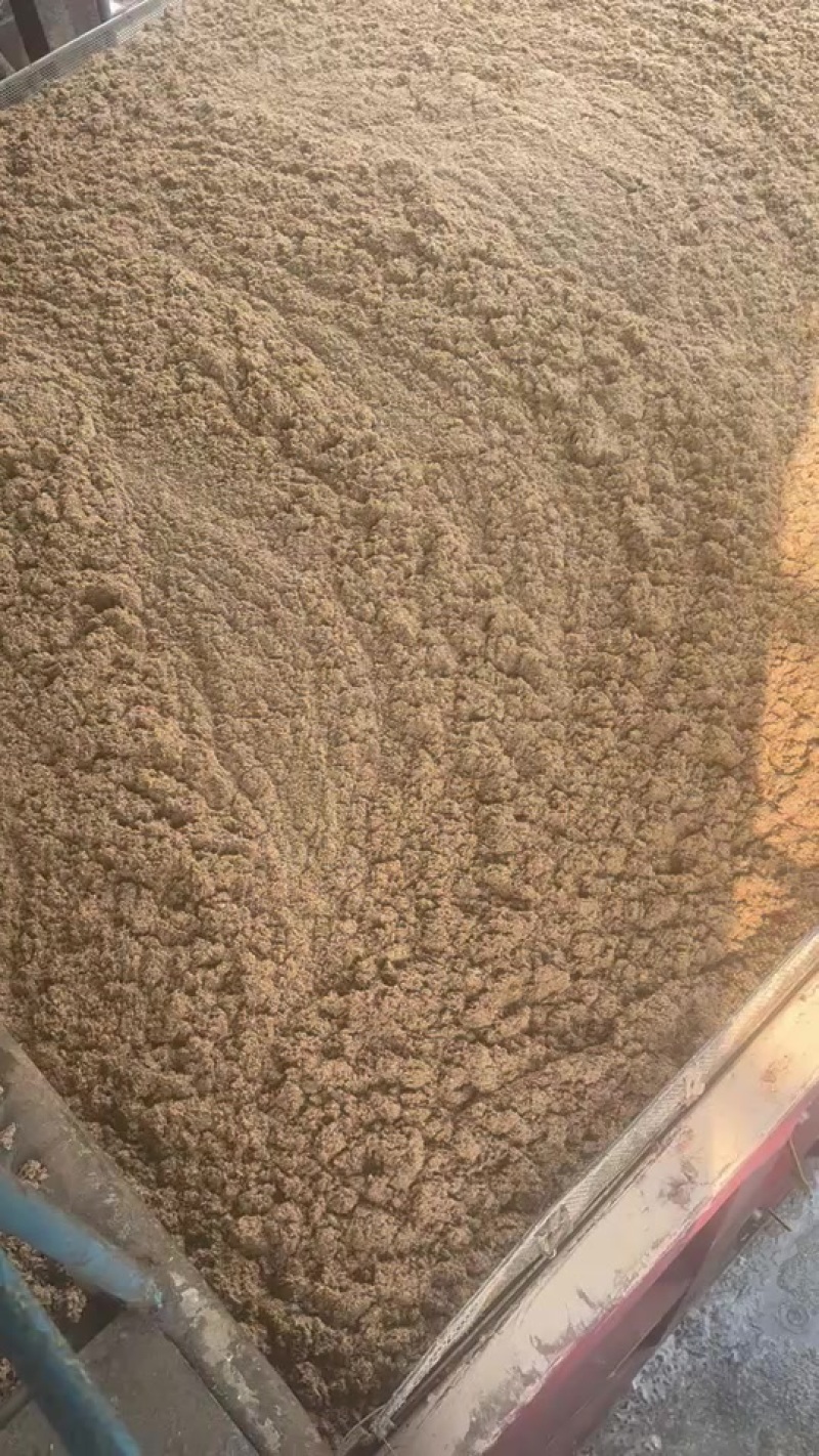 蓝带啤酒糟，厂家直销一手货源