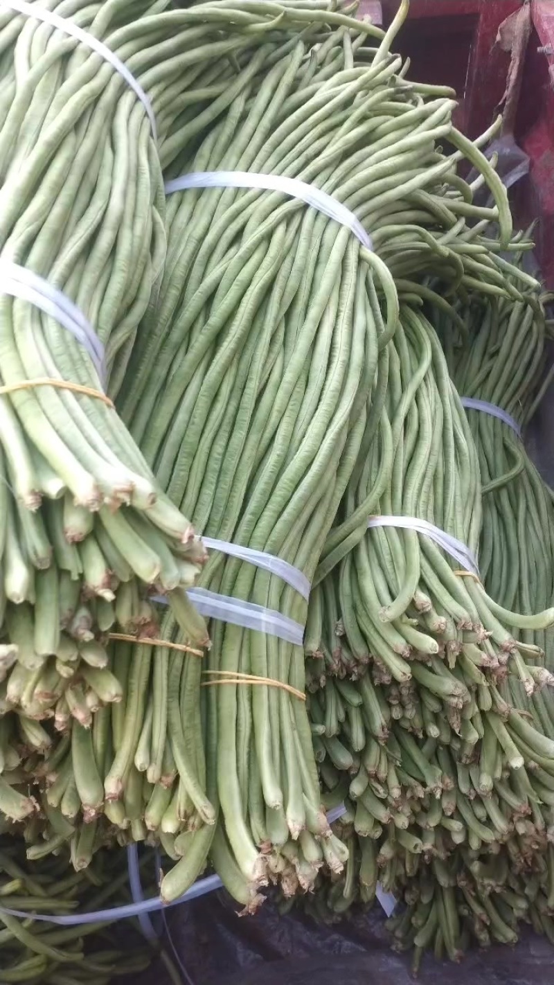 贵州豆角