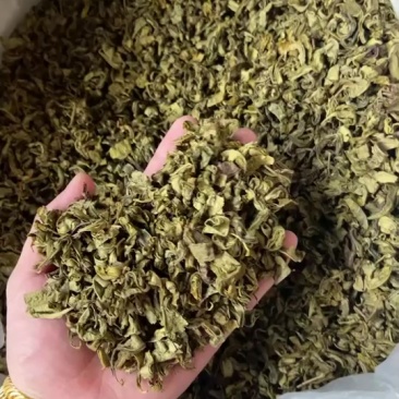 黄金芽茶头，便宜出，量大的来，大货有便宜