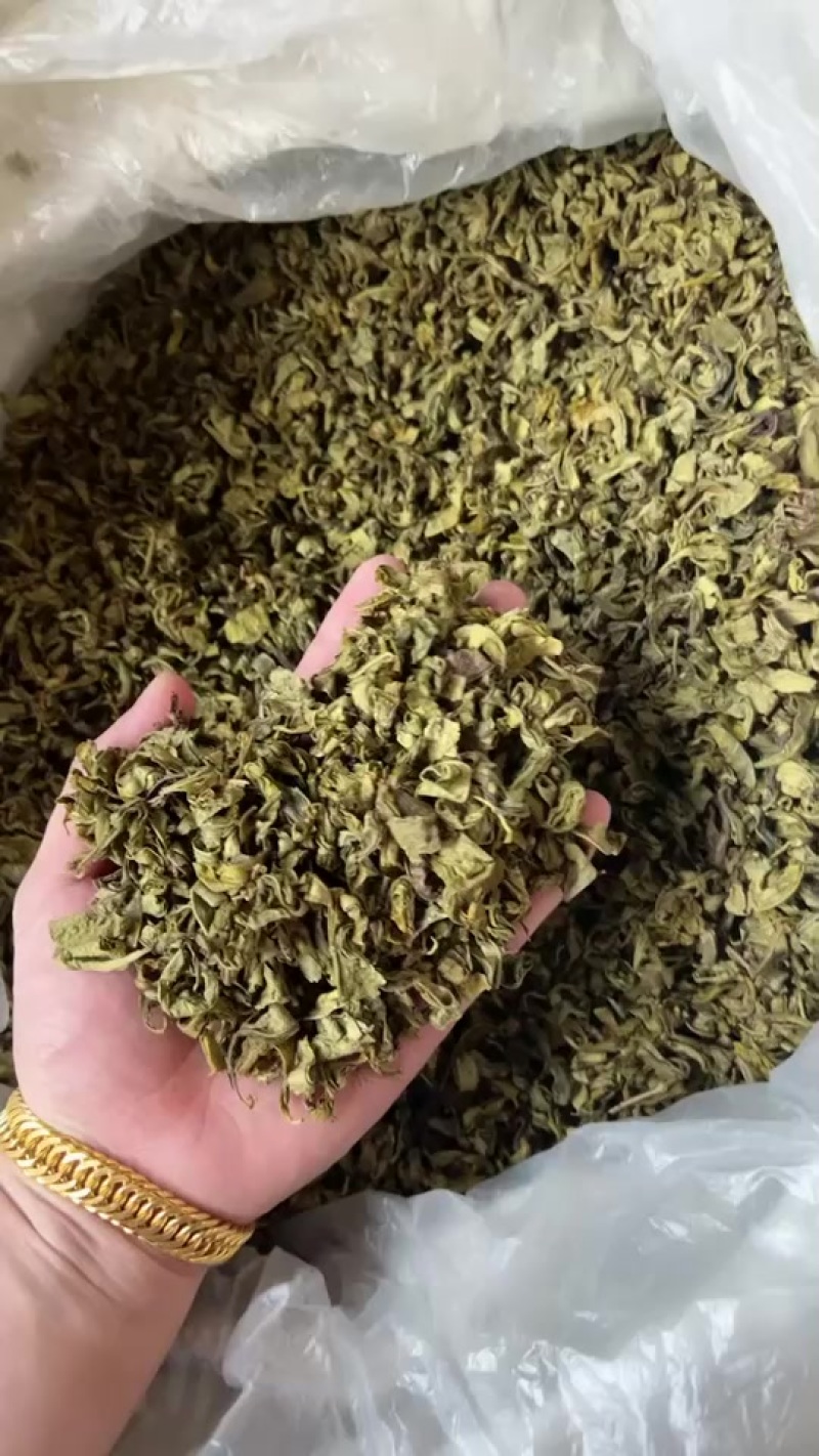 黄金芽茶头，便宜出，量大的来，大货有便宜