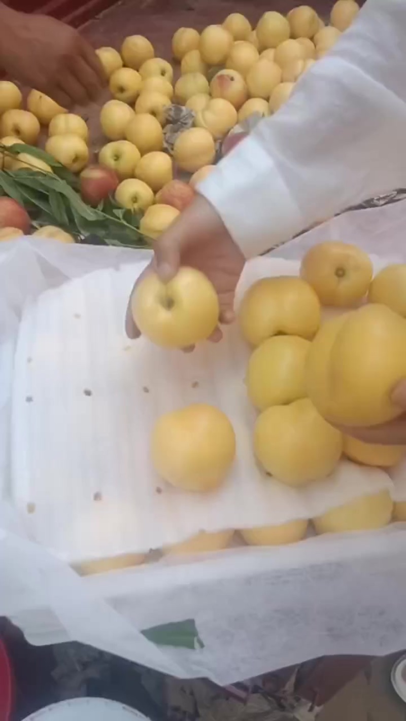 精品黄油