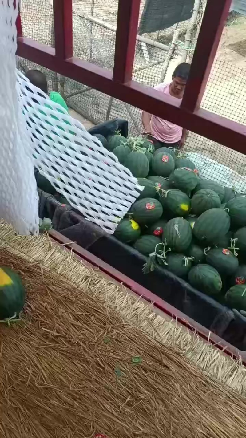 慕甜嘉宝