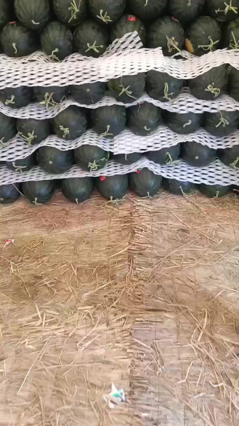 慕甜嘉宝