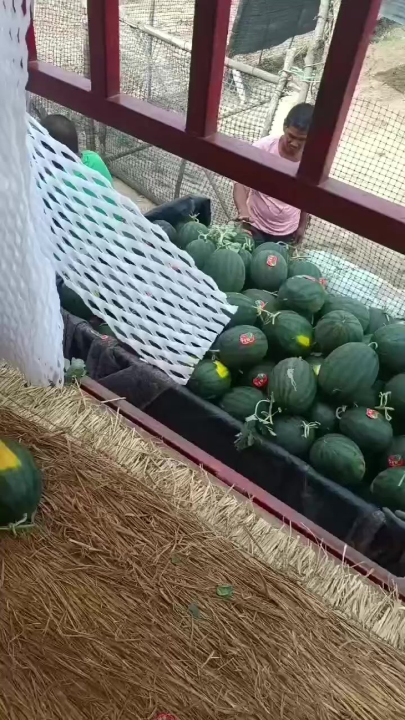 慕甜嘉宝
