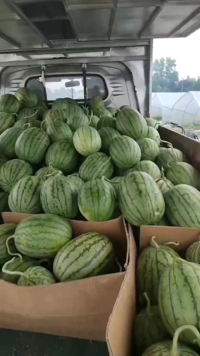 嘉秀口口脆