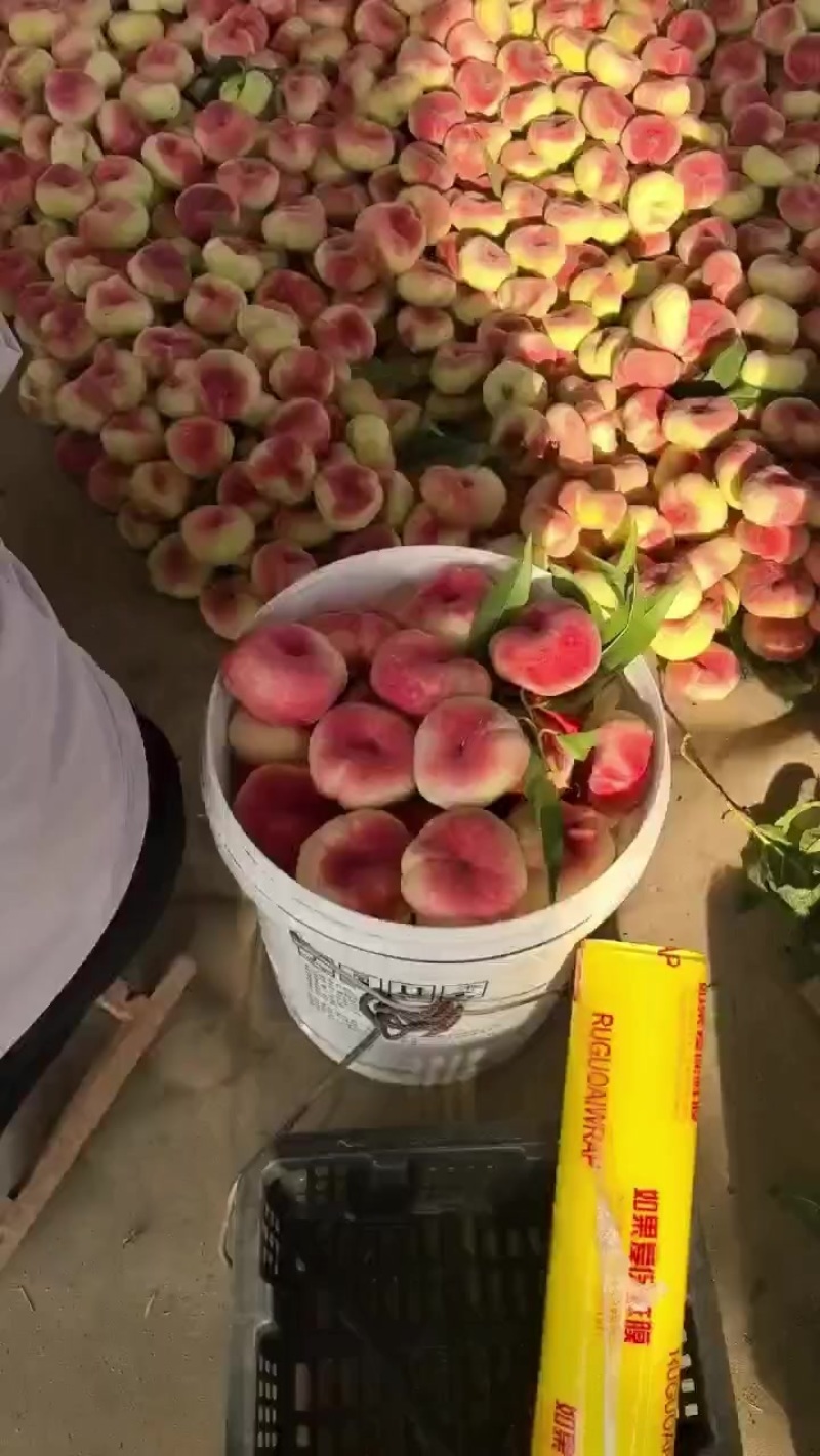 红蟠桃上市。