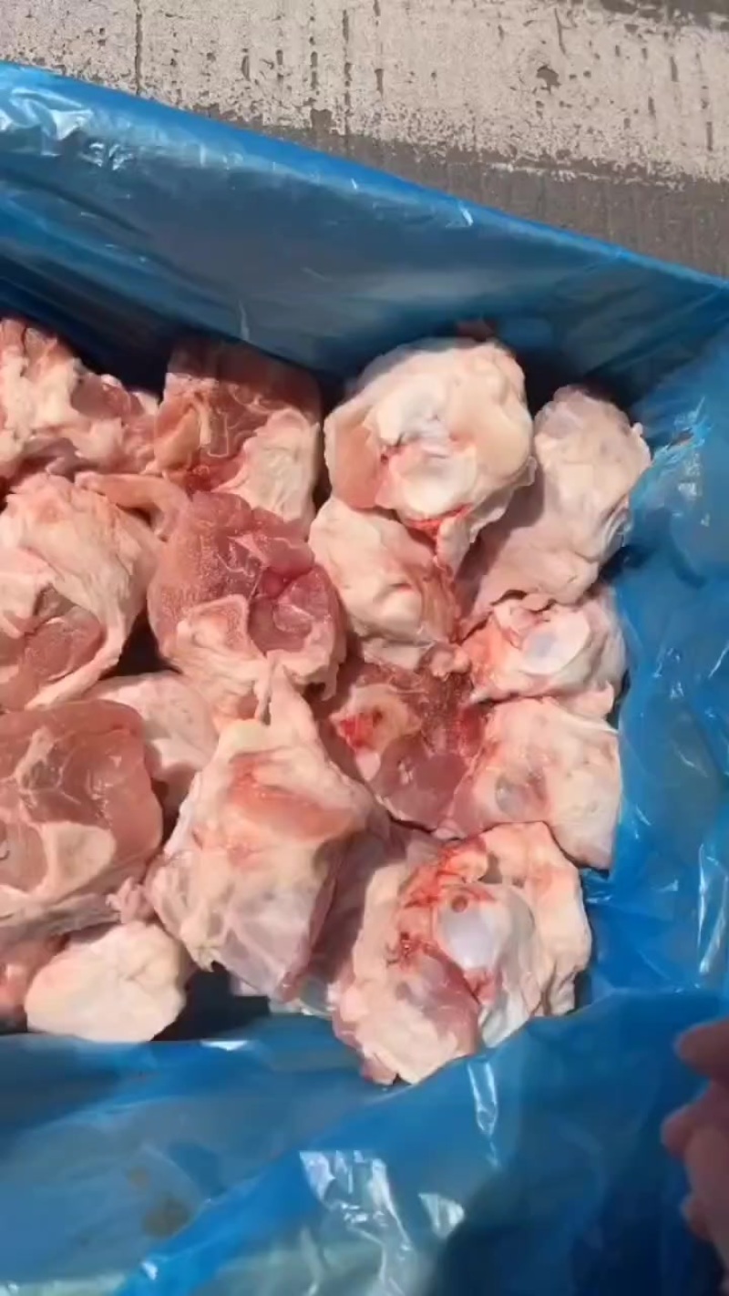 满肉肘棒骨，发肉多达70%