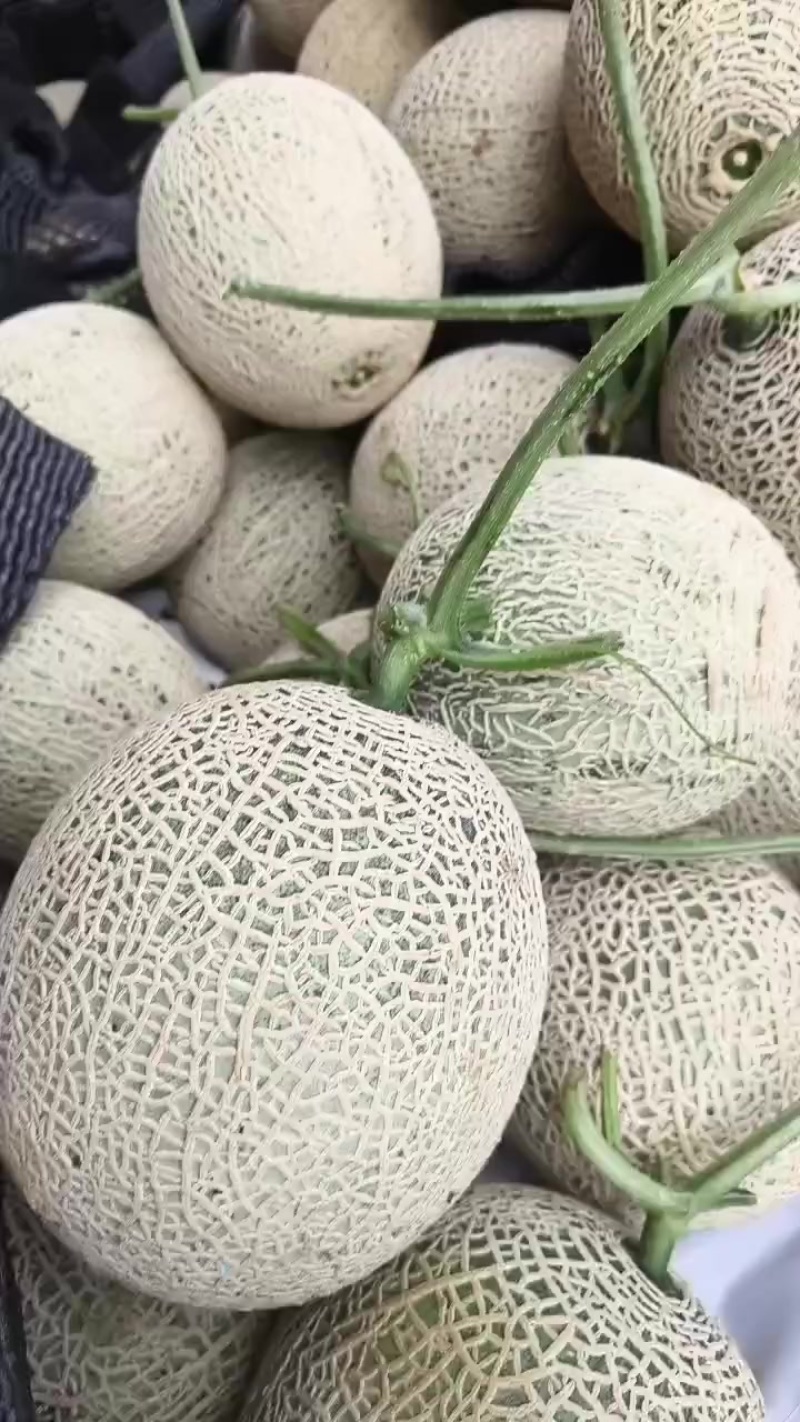 精品牛三