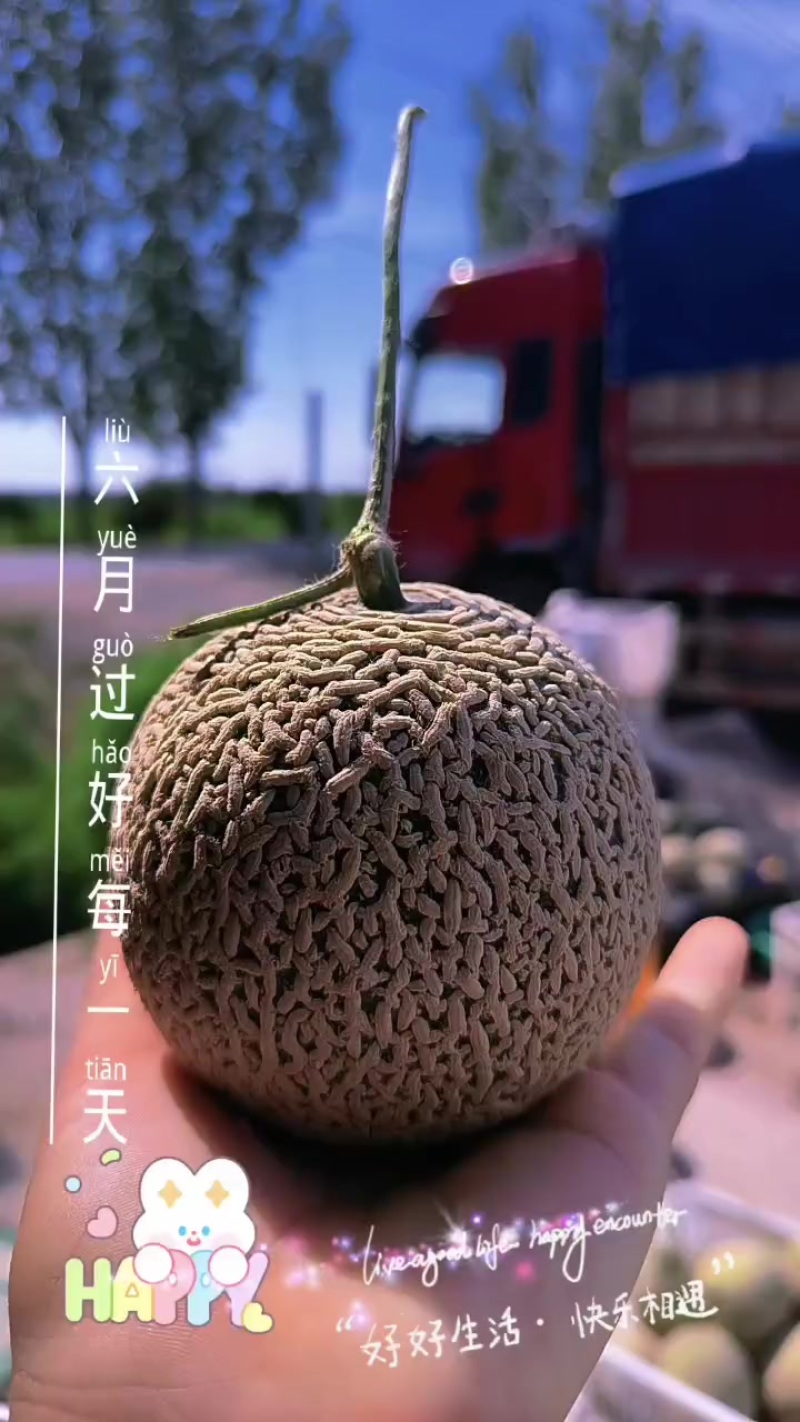精品牛三