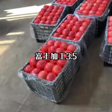 红富士苹果