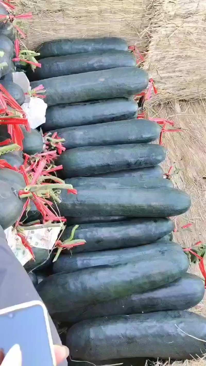 广西黑皮吊冬瓜，肉质好皮毛干净价格便宜0.1