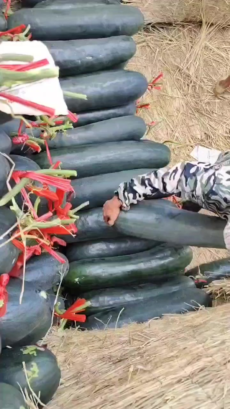 广西黑皮吊冬瓜，肉质好皮毛干净价格便宜0.1