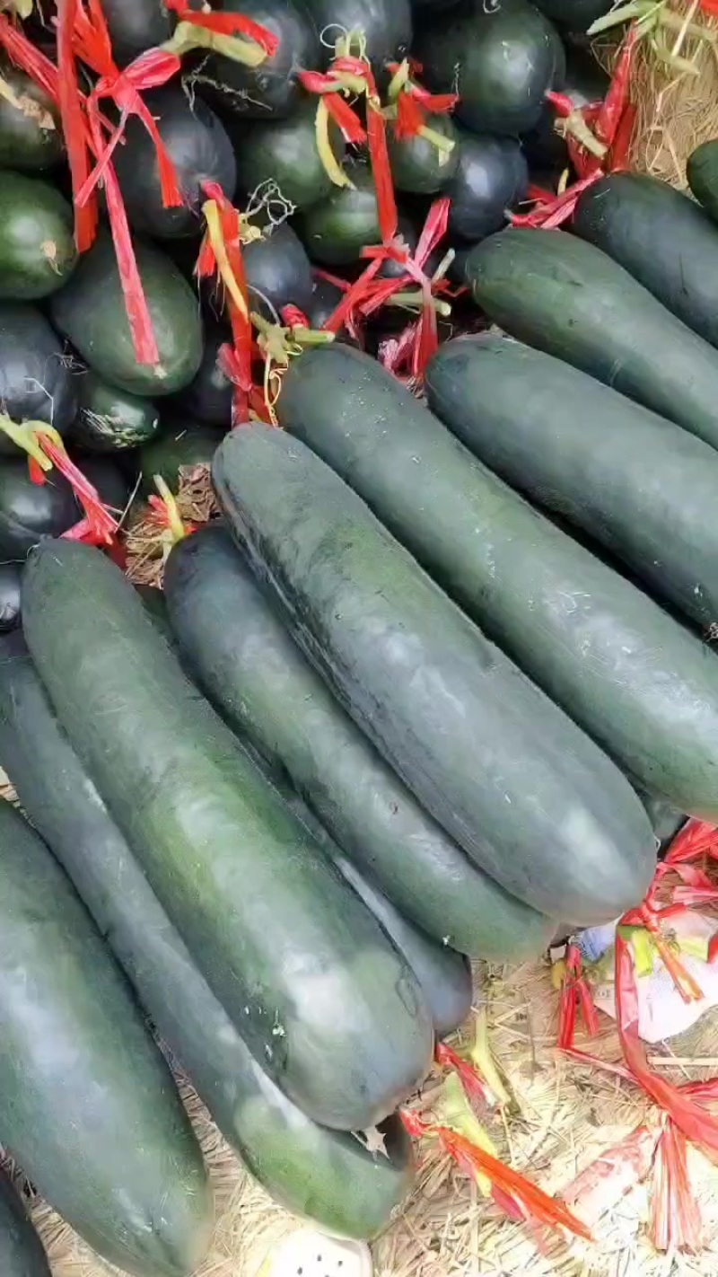 广西黑皮吊冬瓜，肉质好皮毛干净价格便宜0.1