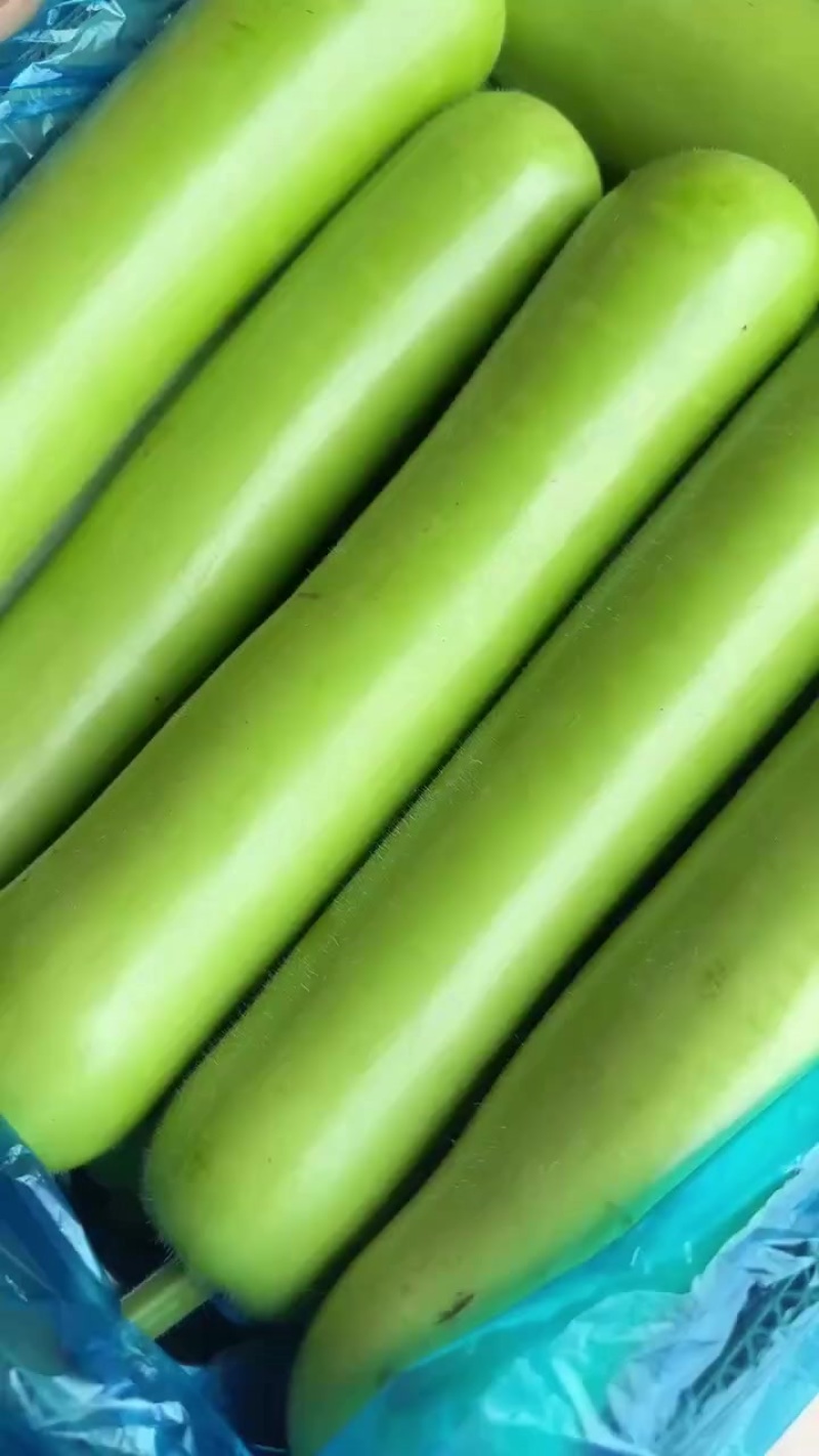 瓠子