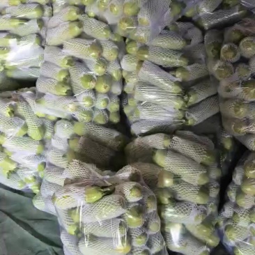 精品绿西葫芦